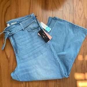 Jen 7 by 7 for all Mankind cropped wide leg jeans (Stitch fix)